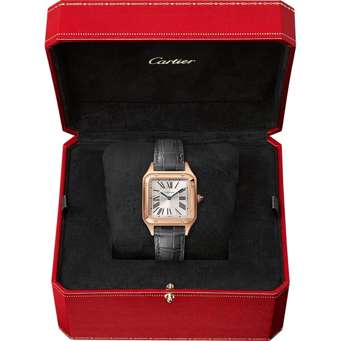 Watches Cartier SantosDumont watch WGSA0022