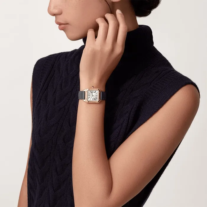 Watches Cartier SantosDumont watch WGSA0022