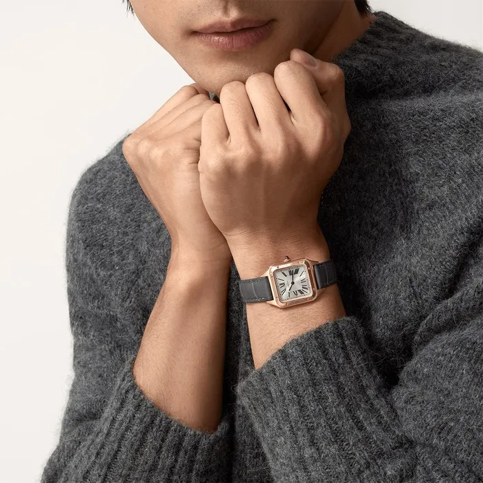 Watches Cartier SantosDumont watch WGSA0022