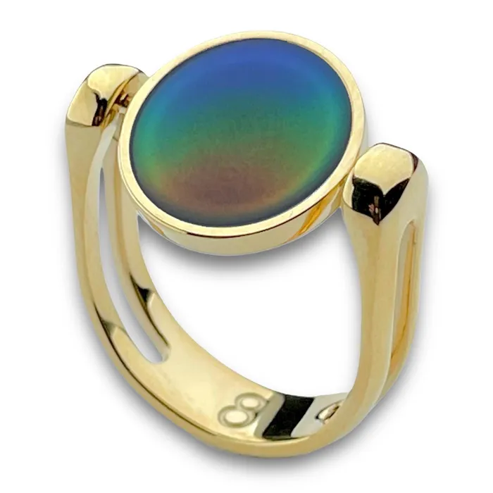 Rings MyCONQUERing Mood ColorChanging Click n Spin Fidget Ring for Anxiety