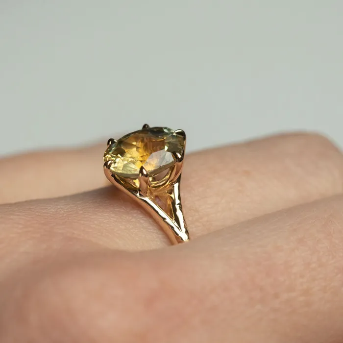 245ct Multicolor Sunrise Oval Montana Sapphire Six Prong Split Shank Ring in 14k Yellow Gold Anueva Jewelry Rings