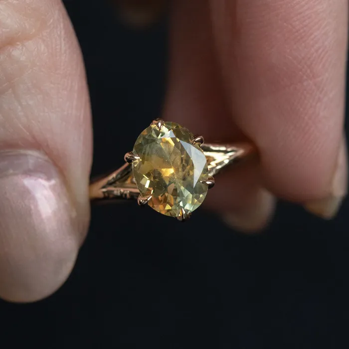 245ct Multicolor Sunrise Oval Montana Sapphire Six Prong Split Shank Ring in 14k Yellow Gold Anueva Jewelry Rings