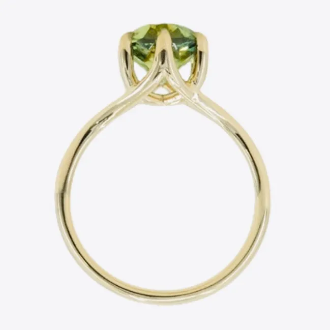 325ct Seafoam Blue Green Madagascar Sapphire Six Prong Split Shank Ring in 14k Yellow Gold Anueva Jewelry Rings