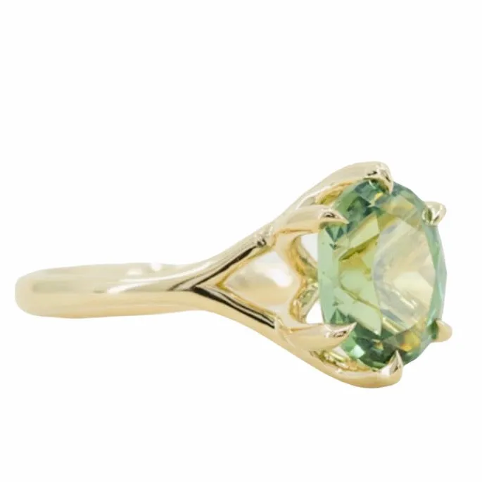 325ct Seafoam Blue Green Madagascar Sapphire Six Prong Split Shank Ring in 14k Yellow Gold Anueva Jewelry Rings
