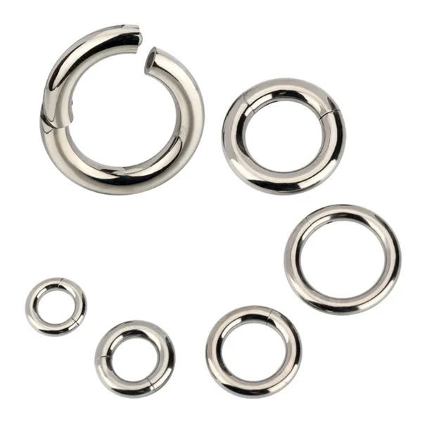 Tulsa Body Jewelry Rings 6g Titanium Hinged Segment Ring Tulsa Body Jewelry Rings 6g Titanium Hinged Segment Ring