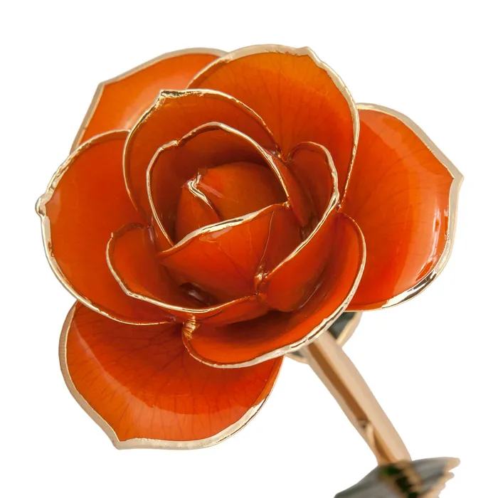 Juicy Orange 24K Gold Dipped Rose LIMITED STOCK TR Jewelry Concepts Earrings Juicy Orange 24K Gold Dipped Rose LIMITED STOCK TR Jewelry Concepts Earrings