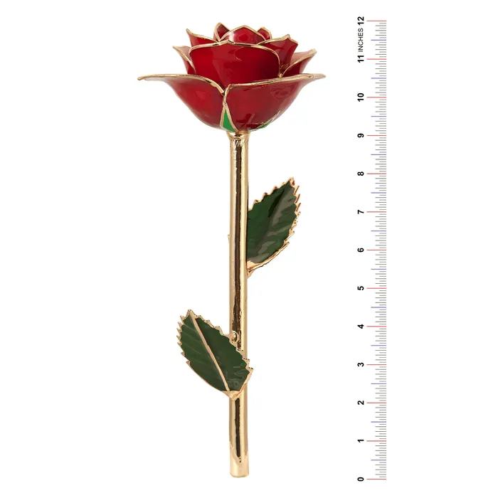 Juicy Orange 24K Gold Dipped Rose LIMITED STOCK TR Jewelry Concepts Earrings