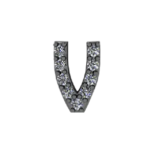 SG Fine Charm Necklaces Slider Pave Letter V Charm