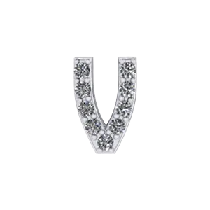 SG Fine Charm Necklaces Slider Pave Letter V Charm