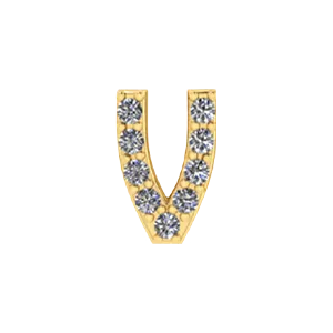 SG Fine Charm Necklaces Slider Pave Letter V Charm