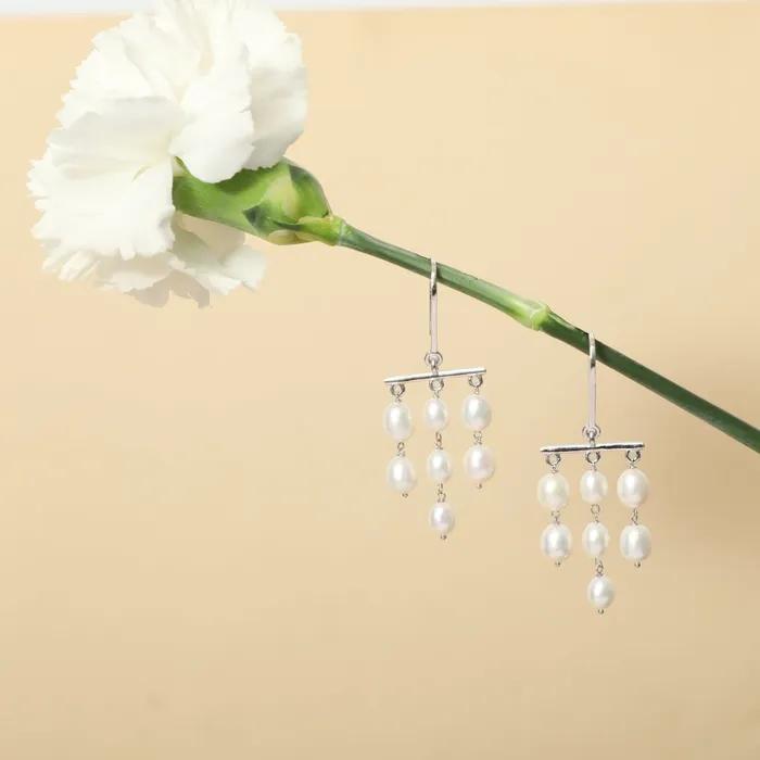SILVER Earrings Luna Silver Drop Earrings