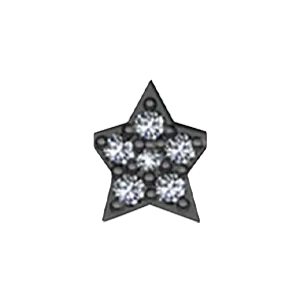 Slider White Diamond Star Charm SG Fine Charm Necklaces