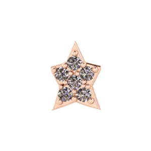 Slider White Diamond Star Charm SG Fine Charm Necklaces