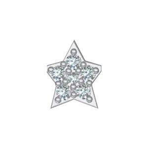 Slider White Diamond Star Charm SG Fine Charm Necklaces